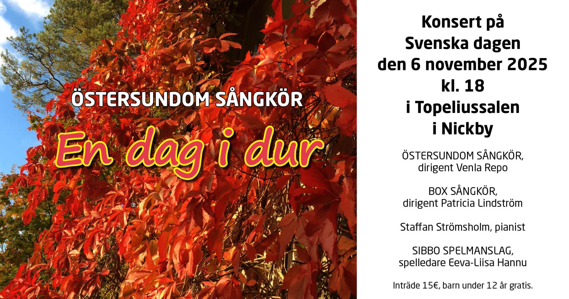 Svenska Dagen konsert i Topeliussalen kl 18.00